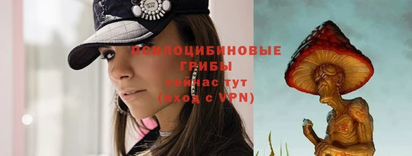 трава Абаза