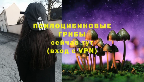 2c-b Абдулино